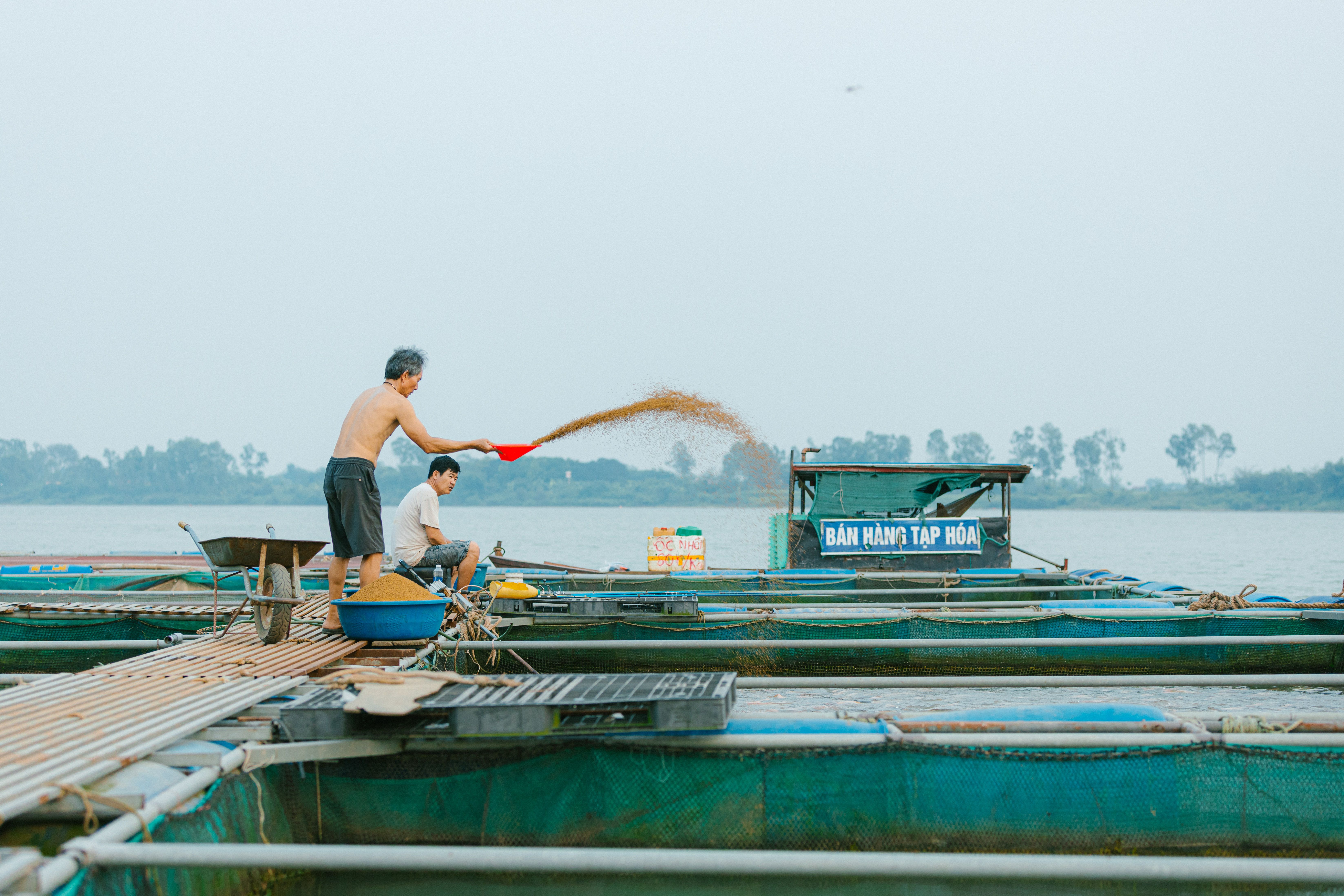 Photograph illustrating Aquatic Feed and Nutrition