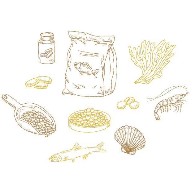 Aquatic Feed and Nutrition thematic illustration