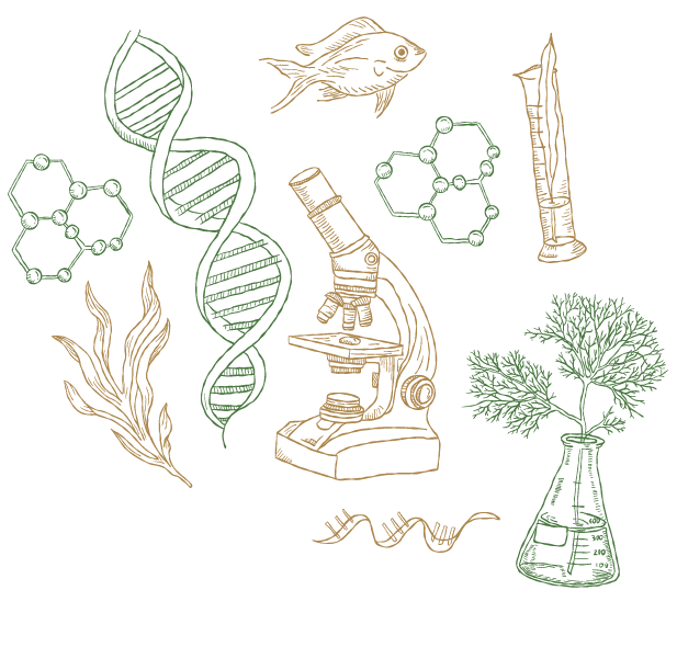 Marine Biotechnology and Omics thematic illustration
