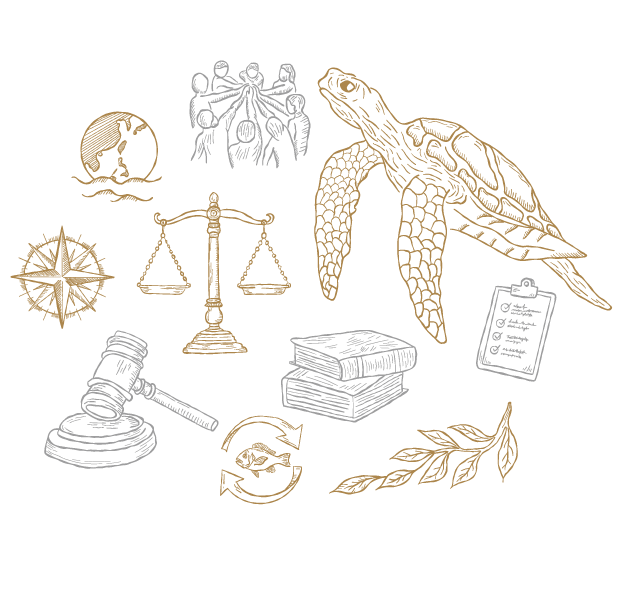 Marine Sustainability, Fisheries Management, Economics and Ocean Policy thematic illustration